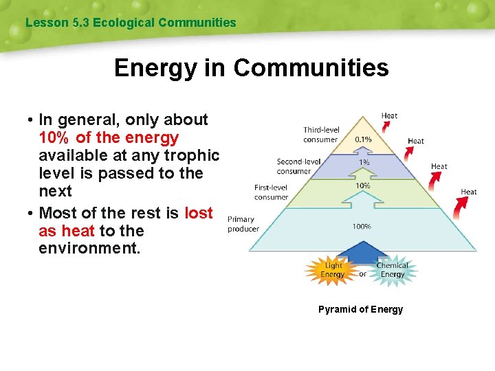 Lesson 5. 3 Ecological Communities Energy in Communities • In general, only about 10%