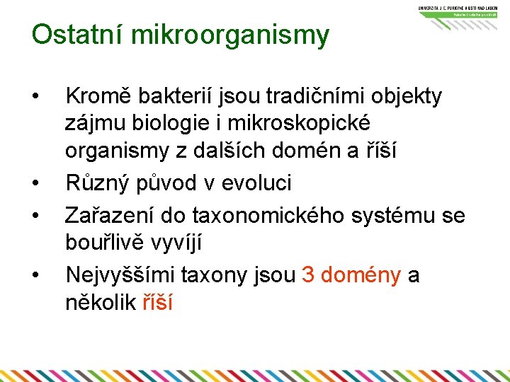 Ostatní mikroorganismy • • Kromě bakterií jsou tradičními objekty zájmu biologie i mikroskopické organismy