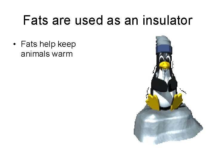 Fats are used as an insulator • Fats help keep animals warm 