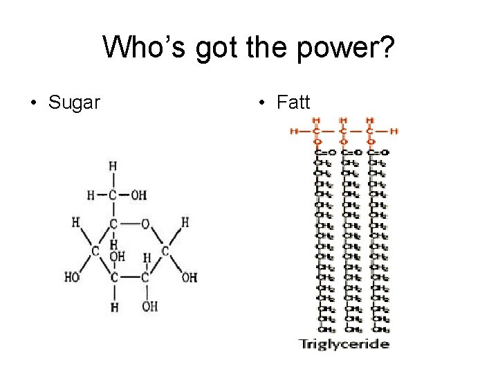 Who’s got the power? • Sugar • Fatt 