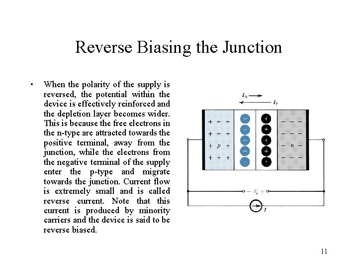 Reverse Biasing the Junction • When the polarity of the supply is reversed, the Reverse Biasing the Junction • When the polarity of the supply is reversed, the