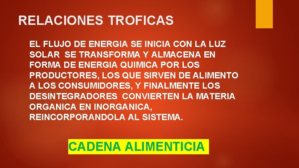 RELACIONES TROFICAS EL FLUJO DE ENERGIA SE INICIA CON LA LUZ SOLAR SE TRANSFORMA