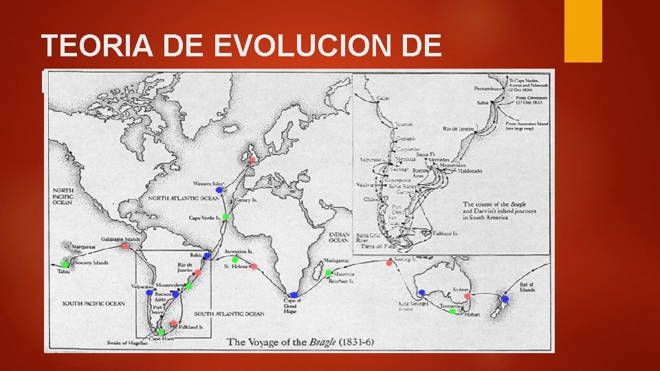 TEORIA DE EVOLUCION DE DARWIN 