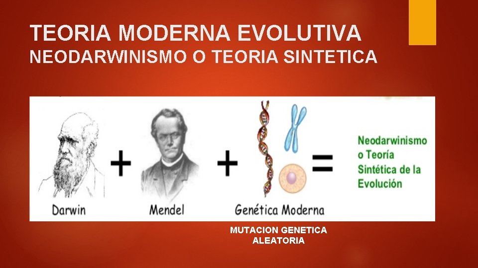 TEORIA MODERNA EVOLUTIVA NEODARWINISMO O TEORIA SINTETICA MUTACION GENETICA ALEATORIA 