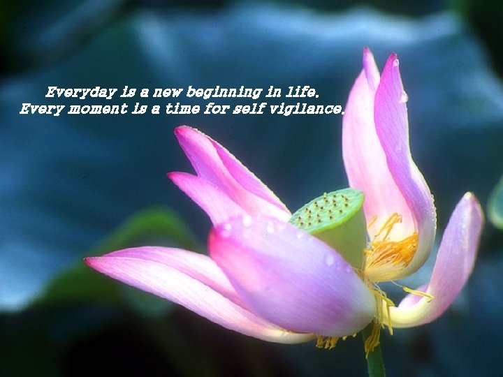 Everyday is a new beginning in life. Every moment is a time for self