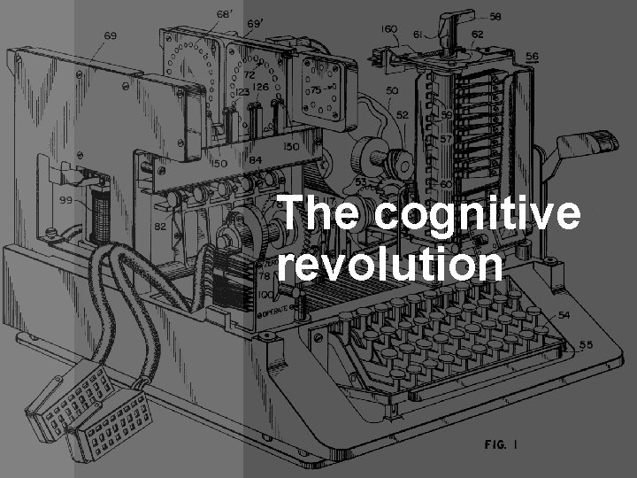 The cognitive revolution The cognitive revolution