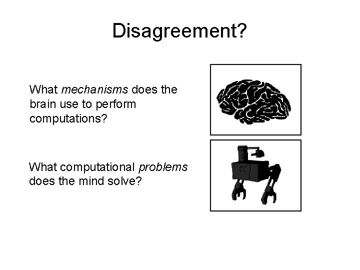 Disagreement? What mechanisms does the brain use to perform computations? What computational problems does