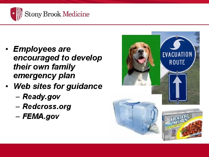  • Employees are encouraged to develop their own family emergency plan • Web