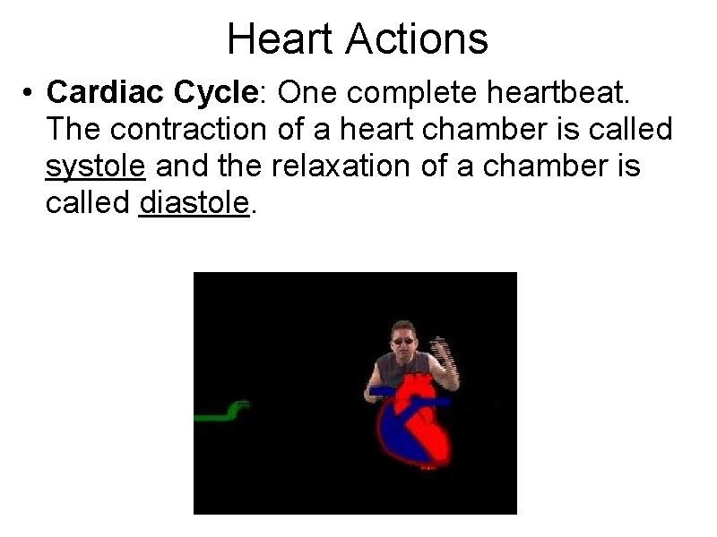 Heart Actions • Cardiac Cycle: One complete heartbeat. The contraction of a heart chamber