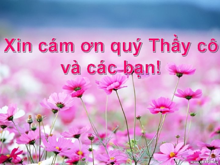 Xin cám ơn quý Thầy cô và các bạn! 