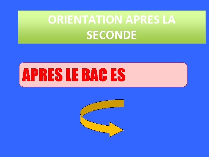 ORIENTATION APRES LA SECONDE APRES LE BAC ES 