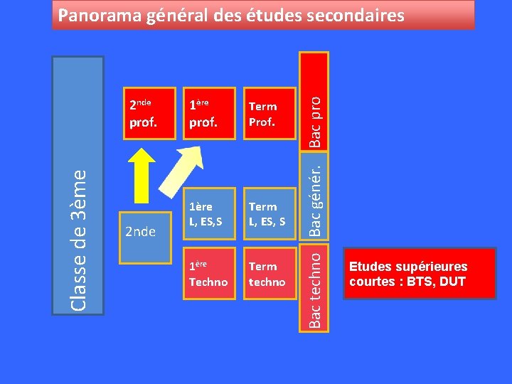 Classe de 3ème 2 nde prof. 2 nde 1ère prof. Term Prof. 1ère L,