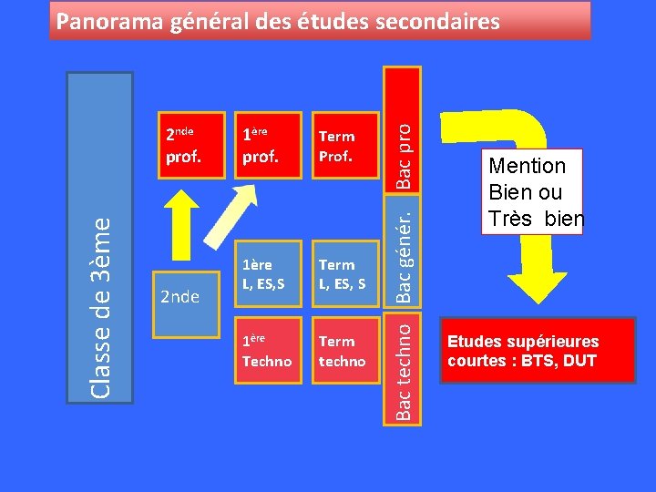 Classe de 3ème 2 nde prof. 2 nde 1ère prof. Term Prof. 1ère L,