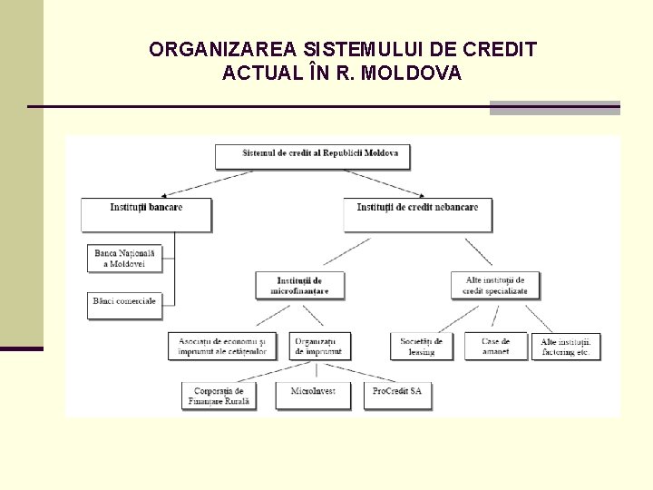 ORGANIZAREA SISTEMULUI DE CREDIT ACTUAL ÎN R. MOLDOVA 