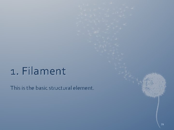 1. Filament This is the basic structural element. 39 