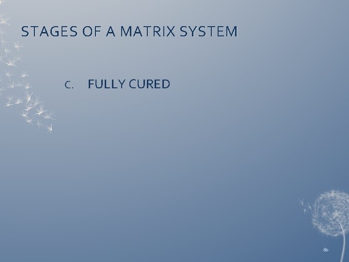 STAGES OF A MATRIX SYSTEM C. FULLY CURED 80 