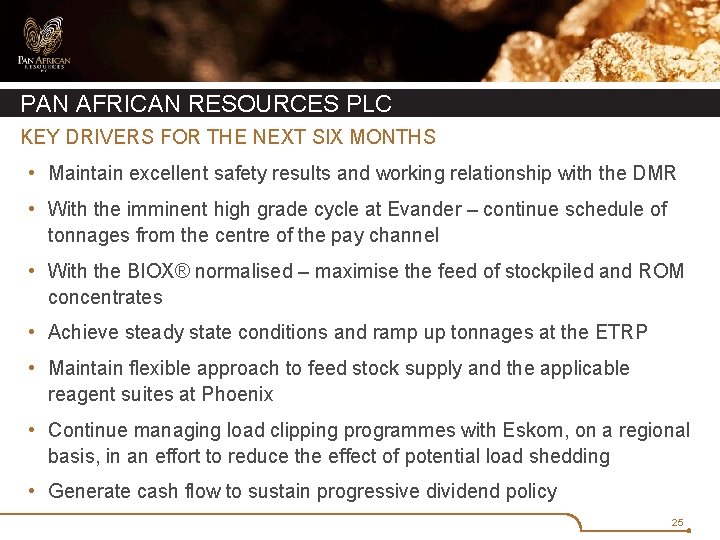 PAN AFRICAN RESOURCES PLC KEY DRIVERS FOR THE NEXT SIX MONTHS • Maintain excellent