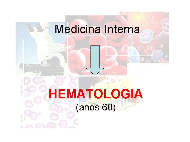  Medicina Interna HEMATOLOGIA (anos 60) 