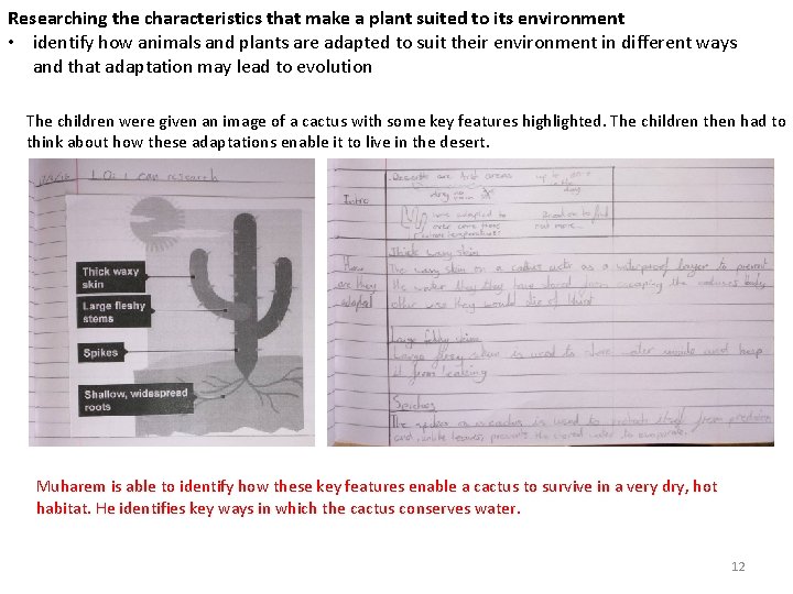 Researching the characteristics that make a plant suited to its environment • identify how