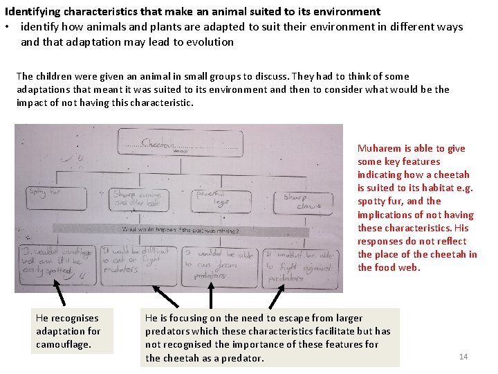 Identifying characteristics that make an animal suited to its environment • identify how animals