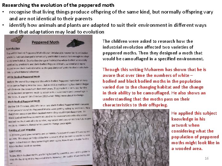 Researching the evolution of the peppered moth • recognise that living things produce offspring