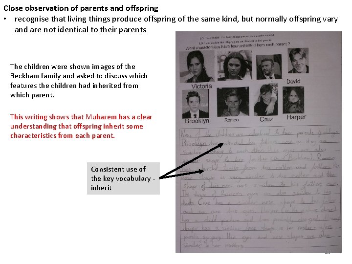 Close observation of parents and offspring • recognise that living things produce offspring of