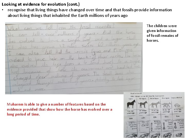 Looking at evidence for evolution (cont. ) • recognise that living things have changed