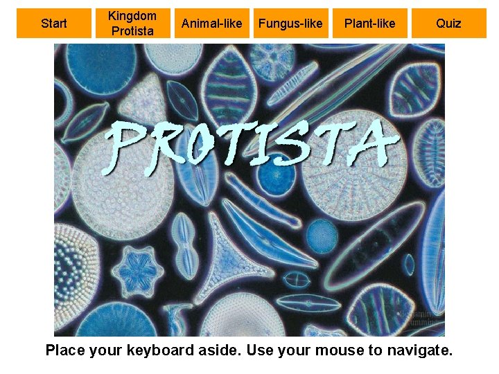 Start Kingdom Protista Animal-like Fungus-like Plant-like Quiz Place your keyboard aside. Use your mouse