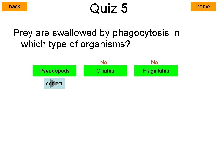 Quiz 5 back home Prey are swallowed by phagocytosis in which type of organisms?