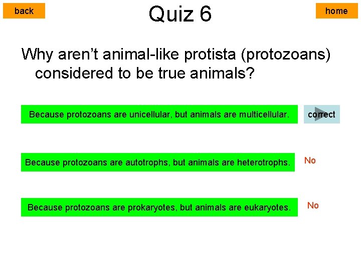 back Quiz 6 home Why aren’t animal-like protista (protozoans) considered to be true animals?