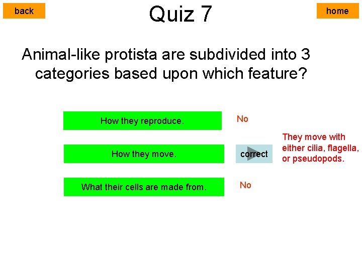 back Quiz 7 home Animal-like protista are subdivided into 3 categories based upon which