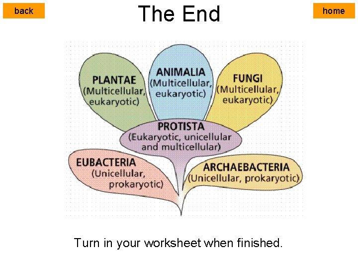 back The End Turn in your worksheet when finished. home 