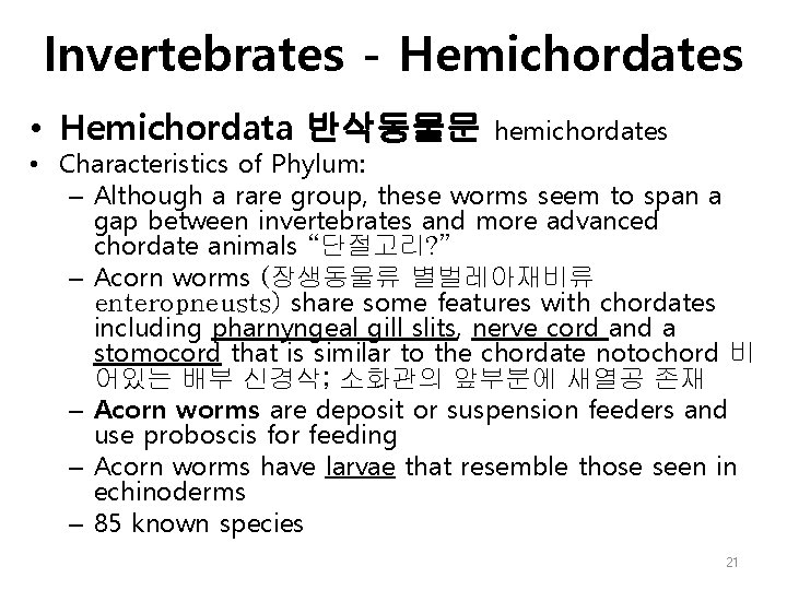 Invertebrates - Hemichordates • Hemichordata 반삭동물문 hemichordates • Characteristics of Phylum: – Although a