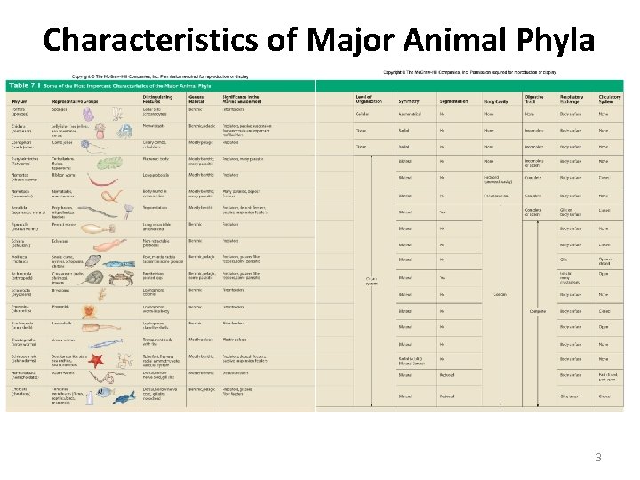 Characteristics of Major Animal Phyla 3 