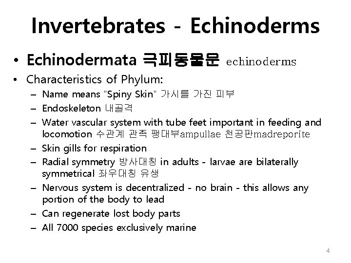 Invertebrates - Echinoderms • Echinodermata 극피동물문 echinoderms • Characteristics of Phylum: – Name means