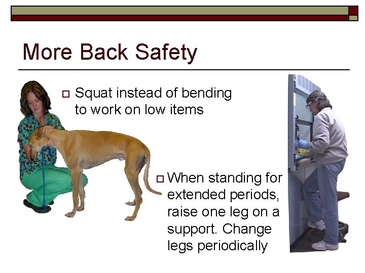 More Back Safety o Squat instead of bending to work on low items o