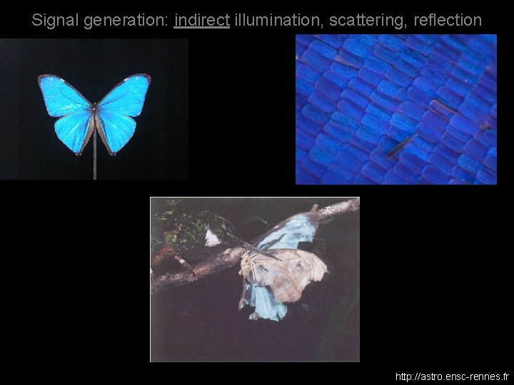 Signal generation: indirect illumination, scattering, reflection http: //astro. ensc-rennes. fr 