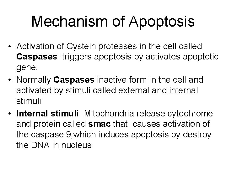 Mechanism of Apoptosis • Activation of Cystein proteases in the cell called Caspases triggers Mechanism of Apoptosis • Activation of Cystein proteases in the cell called Caspases triggers