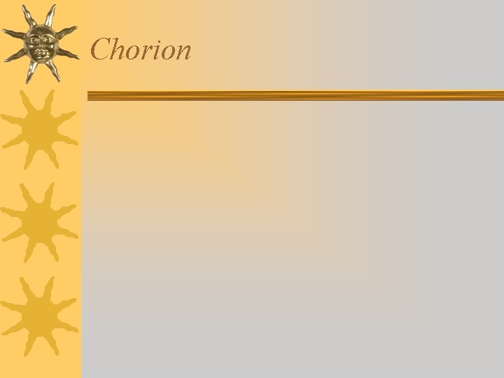 Chorion 