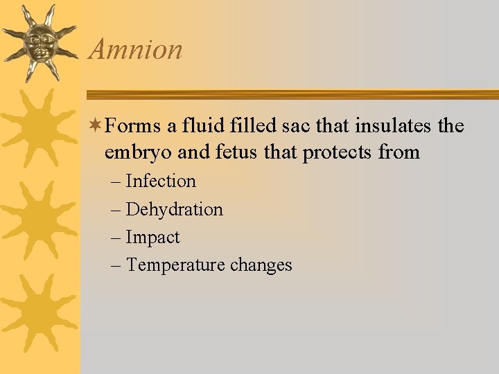 Amnion ¬Forms a fluid filled sac that insulates the embryo and fetus that protects