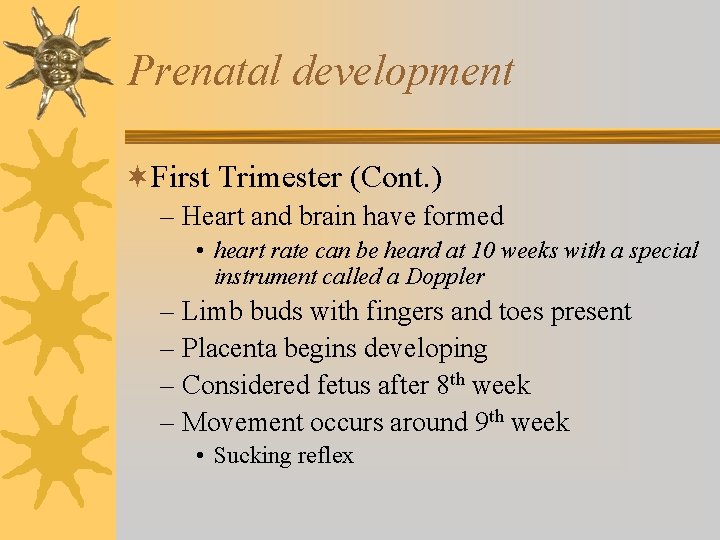 Prenatal development ¬First Trimester (Cont. ) – Heart and brain have formed • heart