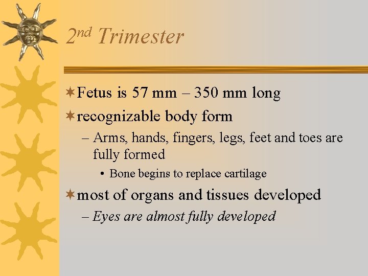 nd 2 Trimester ¬Fetus is 57 mm – 350 mm long ¬recognizable body form