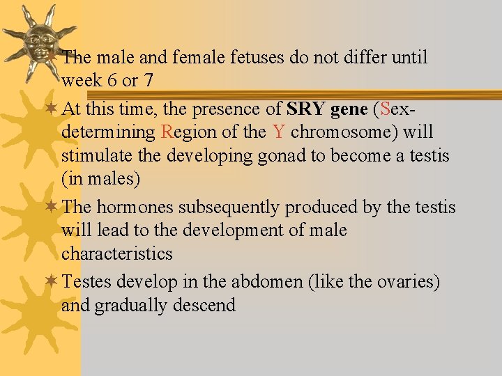 ¬ The male and female fetuses do not differ until week 6 or 7