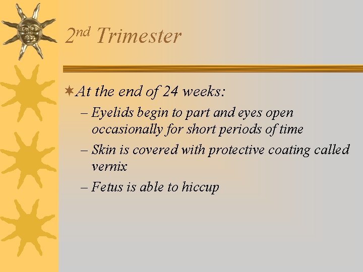 nd 2 Trimester ¬At the end of 24 weeks: – Eyelids begin to part