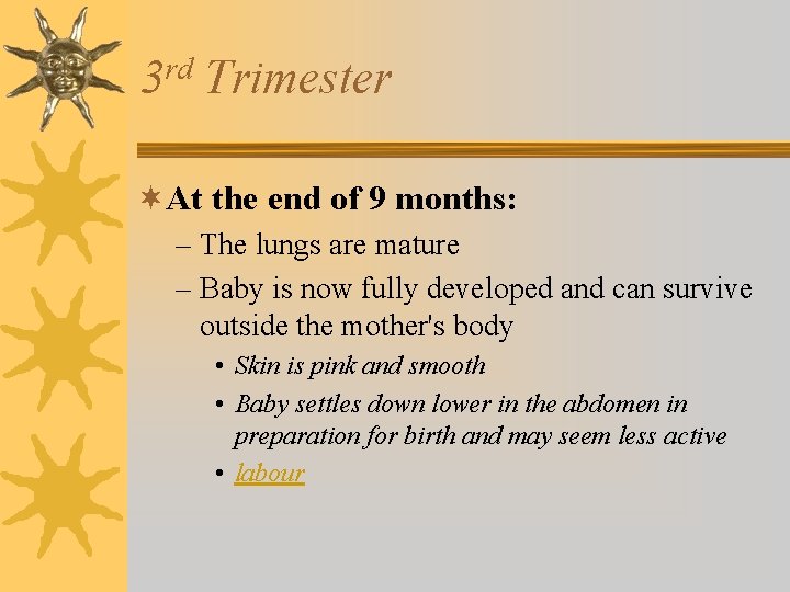 rd 3 Trimester ¬At the end of 9 months: – The lungs are mature