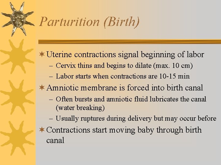 Parturition (Birth) ¬ Uterine contractions signal beginning of labor – Cervix thins and begins