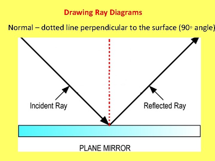 Drawing Ray Diagrams Normal – dotted line perpendicular to the surface (90◦ angle) 