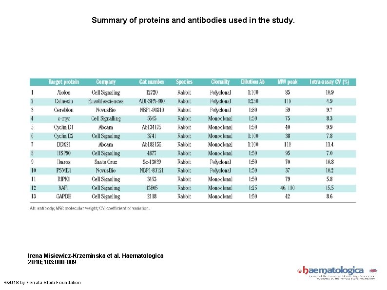 Summary of proteins and antibodies used in the study. Irena Misiewicz-Krzeminska et al. Haematologica
