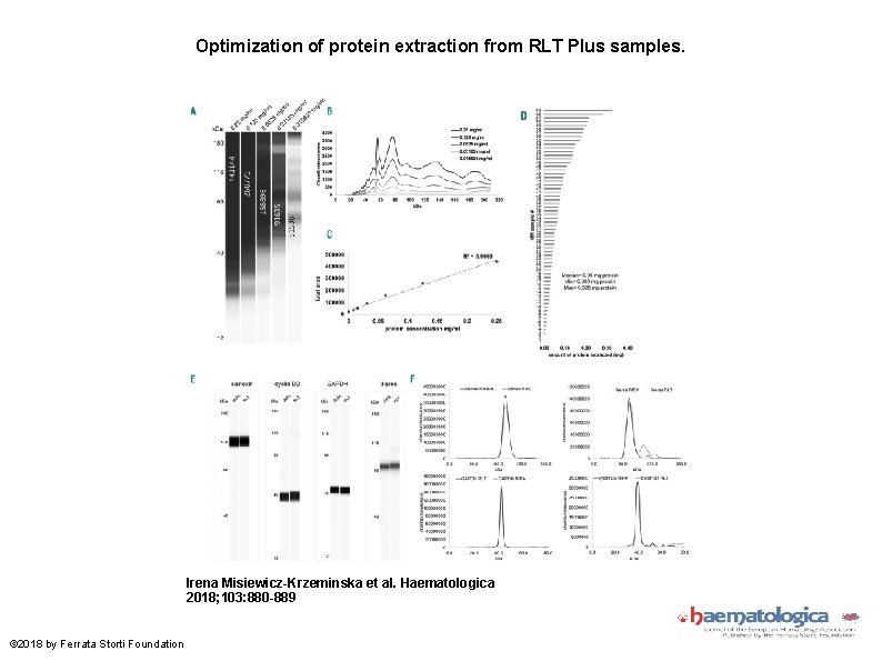 Optimization of protein extraction from RLT Plus samples. Irena Misiewicz-Krzeminska et al. Haematologica 2018;