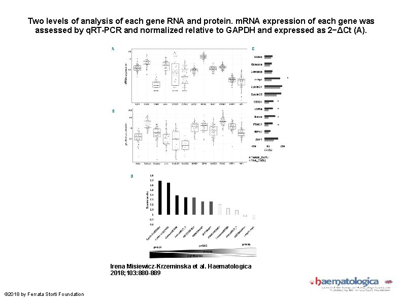 Two levels of analysis of each gene RNA and protein. m. RNA expression of